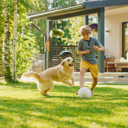 becolor - Outdoor